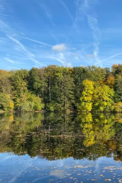 Naturevents Jacobiweiher